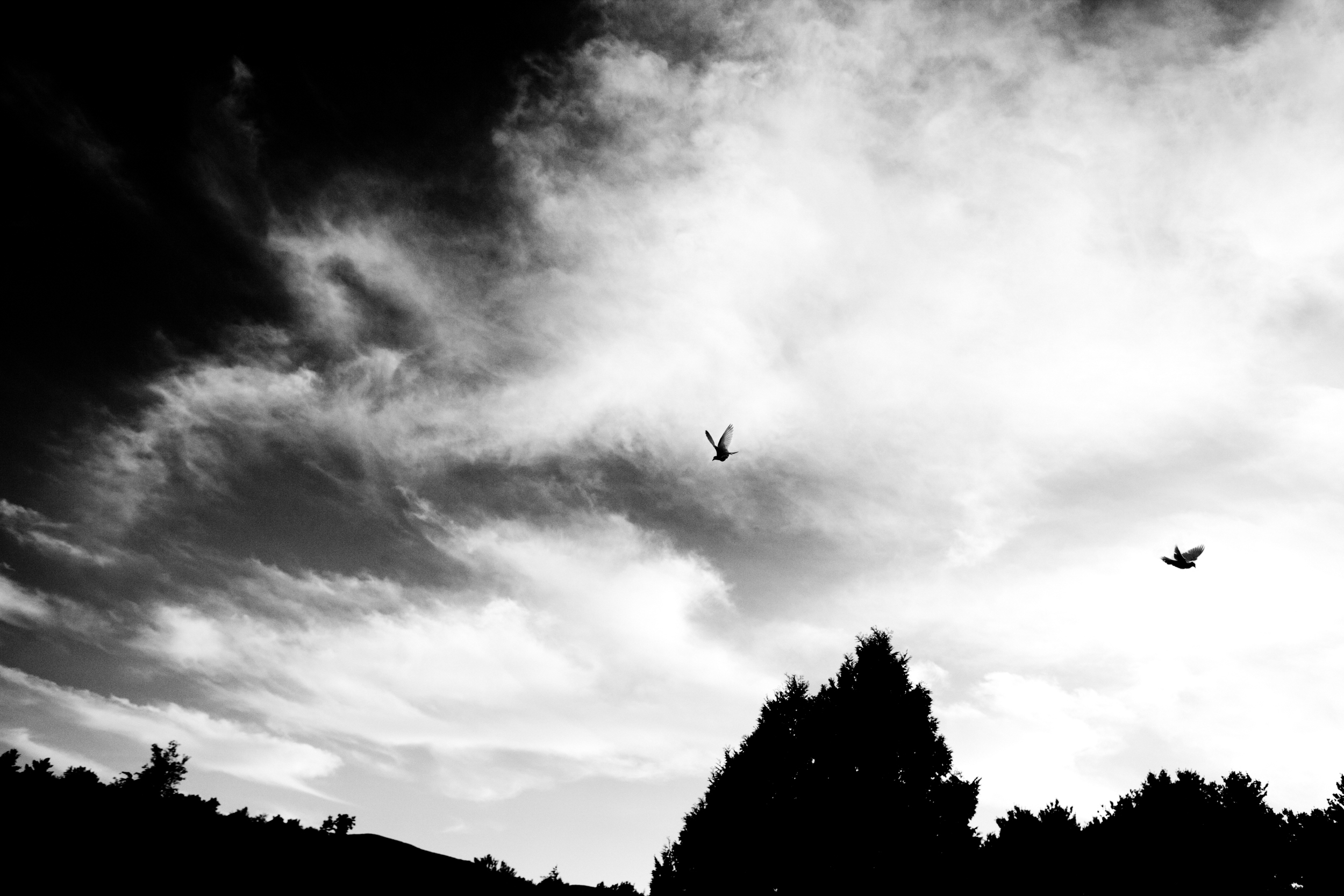 A person skydiving against a dramatic cloudy sky in black and white.