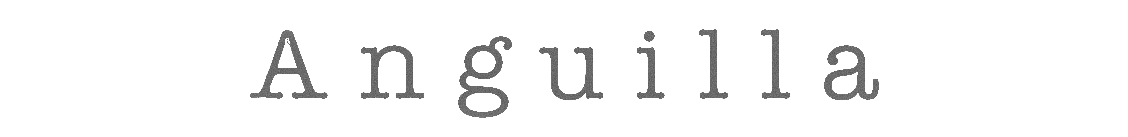 Close-up of a typewriter text showing 'g u s'.