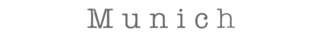 Close-up of typed text showing the letters 'n i' in a serif font.