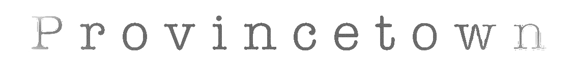 Close-up of a typewriter's typed letters 'n c'.