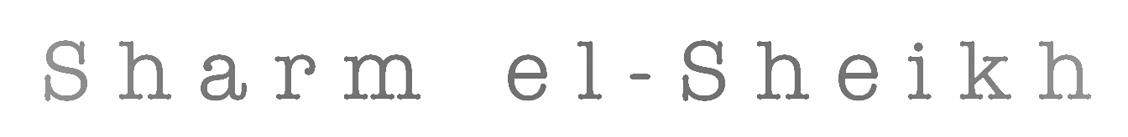 Close-up of typed text showing 'el-' on a white background.